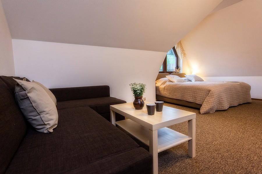 Willa Litworowka III Wellness&Spa بورونين المظهر الخارجي الصورة